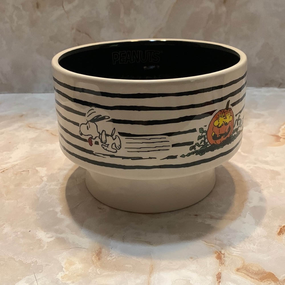 Peanuts: Rae Dunn Halloween theme bowl